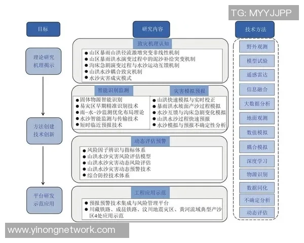 南京羽毛球队在钻石联赛中的技术表现分析与未来展望