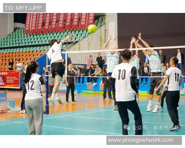 杭州排球队的战术解析与控制技巧深度探讨 杭州排球队的战术解析与控制技巧深度探讨