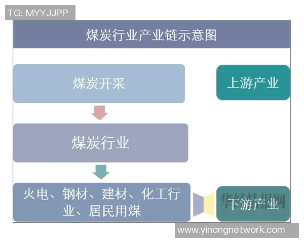 西安排球队控制革新全景解析与未来发展趋势探讨