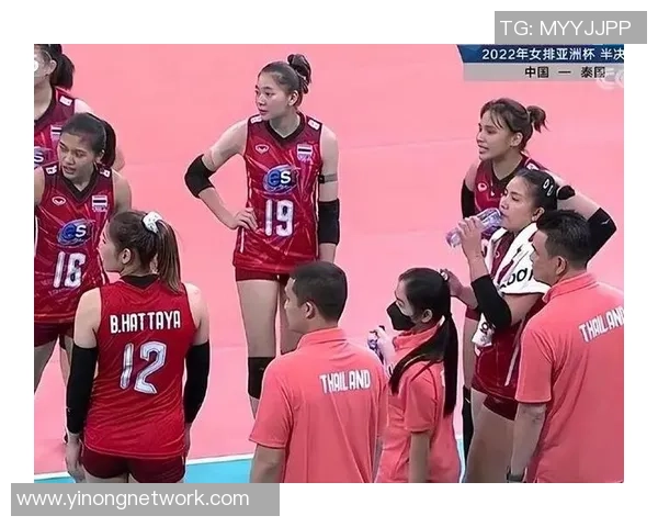 南京排球队总决赛精彩表现分析团队配合与战术执行的完美结合