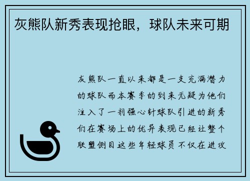 灰熊队新秀表现抢眼，球队未来可期