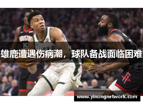 雄鹿遭遇伤病潮，球队备战面临困难